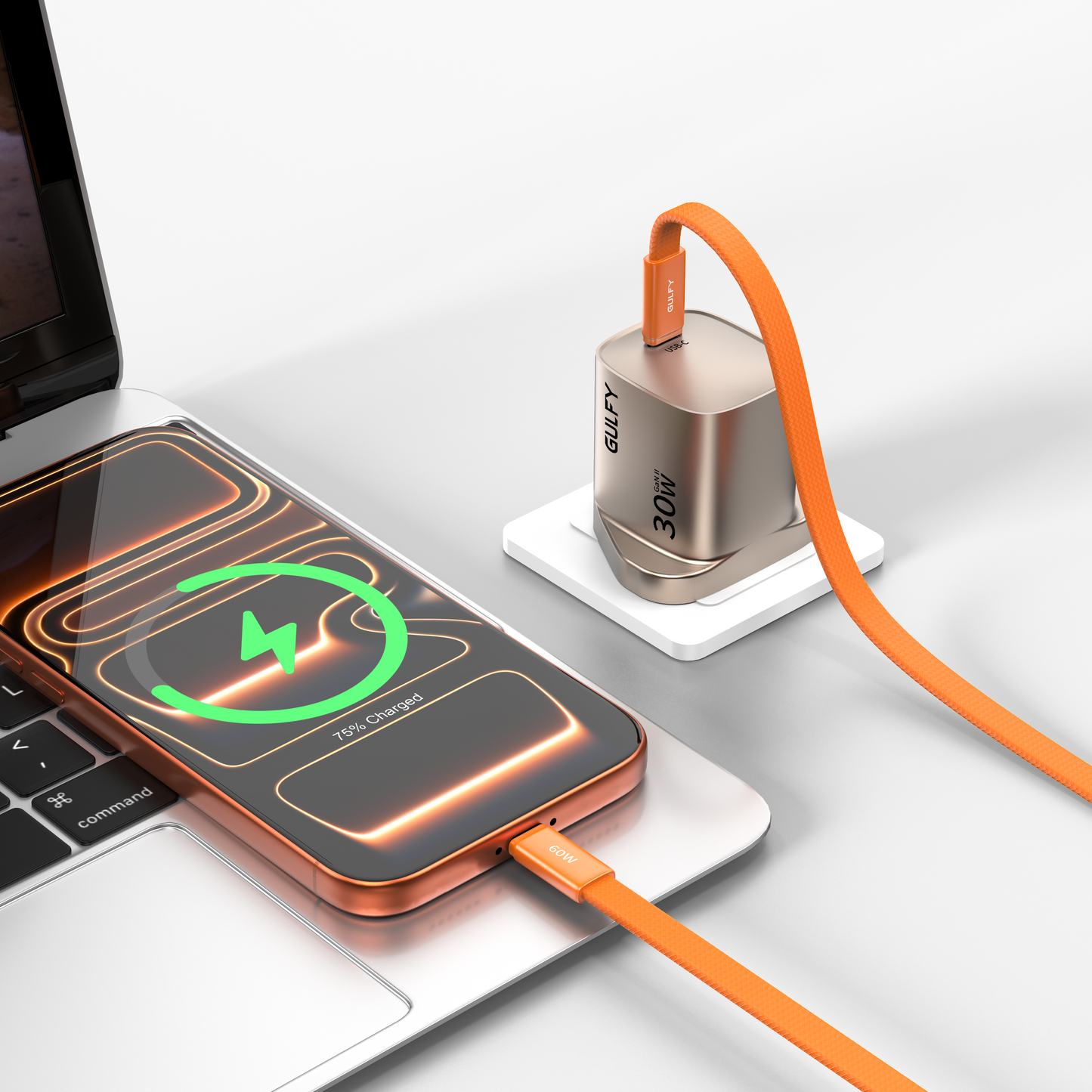 GULFY USB-C to USB-C Fast Charging Cable (60W, 1m, Zinc alloy, Multi-color)